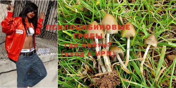 тгк Магас
