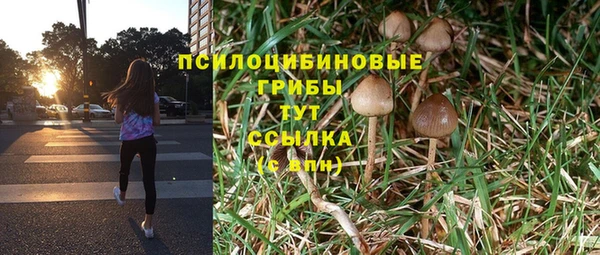 гашик Магадан